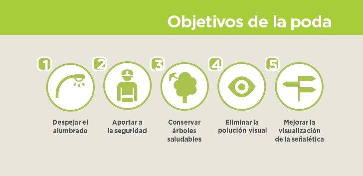 objetivos