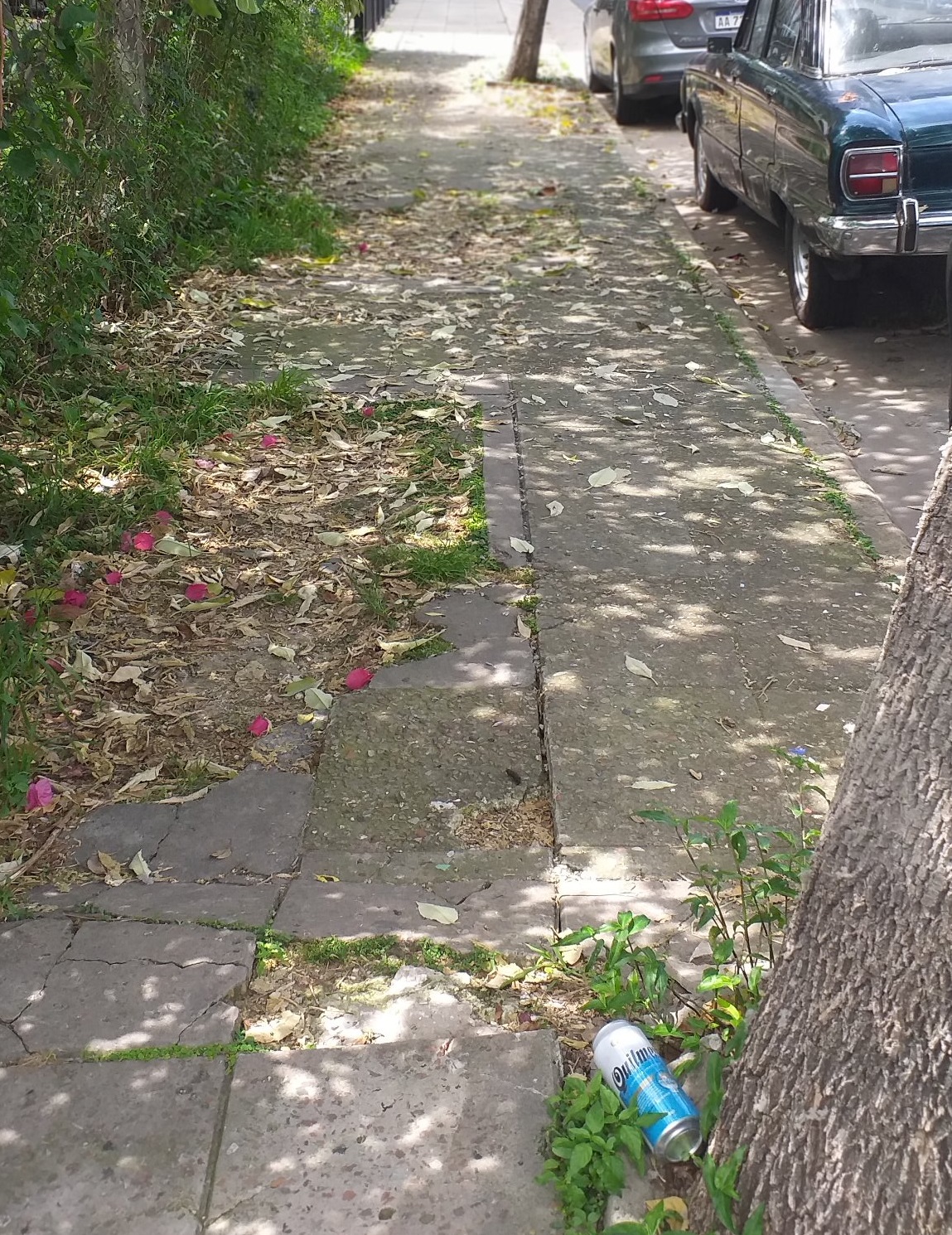 vereda 2