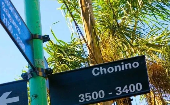 choninocalle