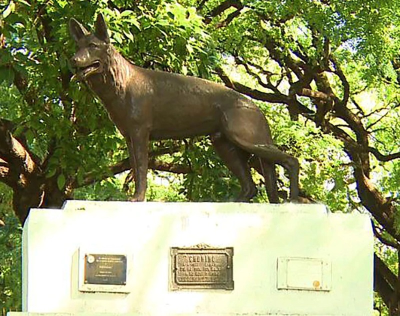 choninoestatua