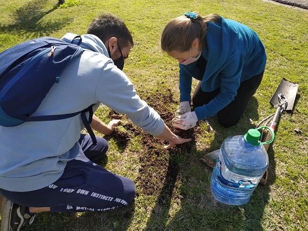semana del arbol comuna 12