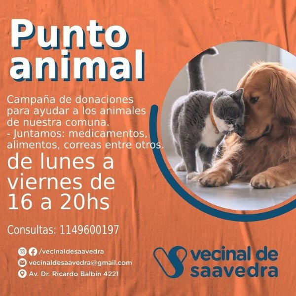 mascotasss
