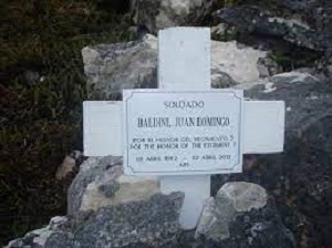 baldinidarwin