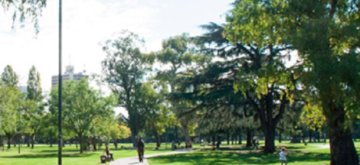 parque saavedra