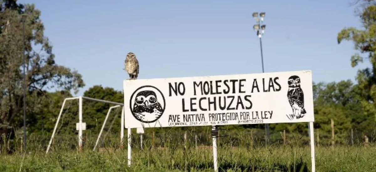 lechuzario parque sarmiento saavedra