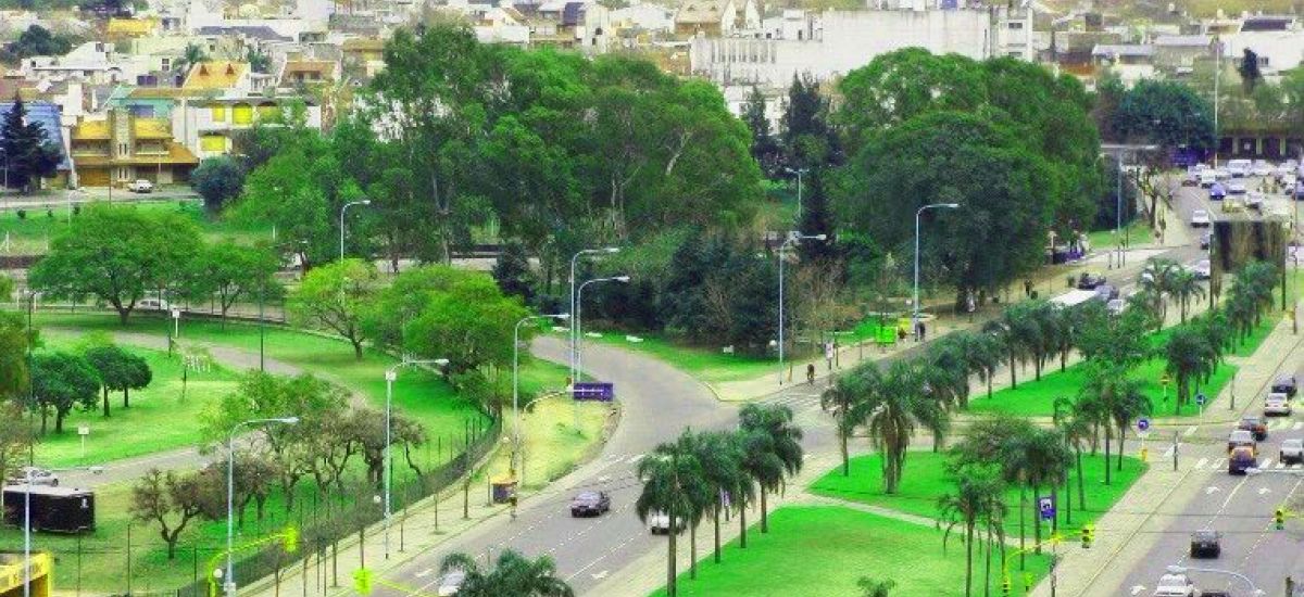 saavedra 150 años