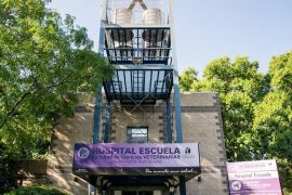 facultad veterinaria