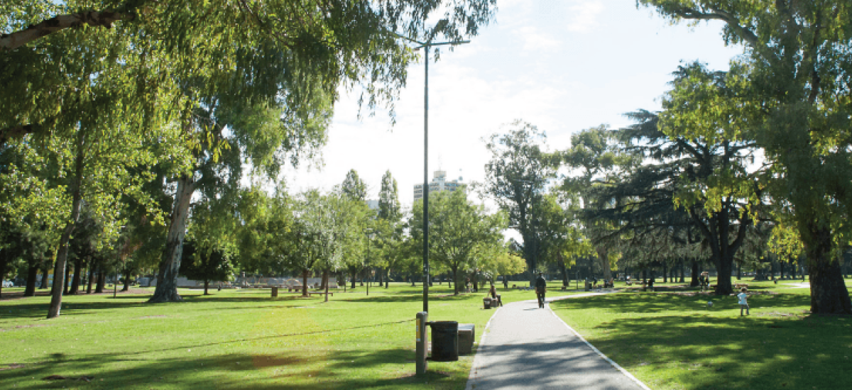 parque saavedra