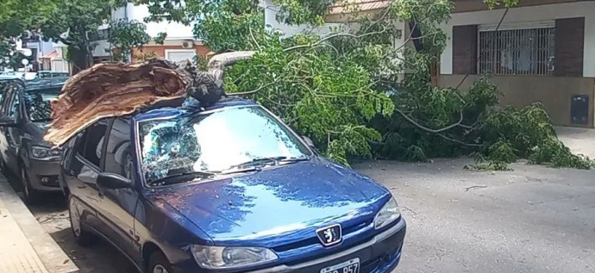 auto andonaegui