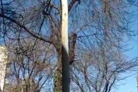poste edenor