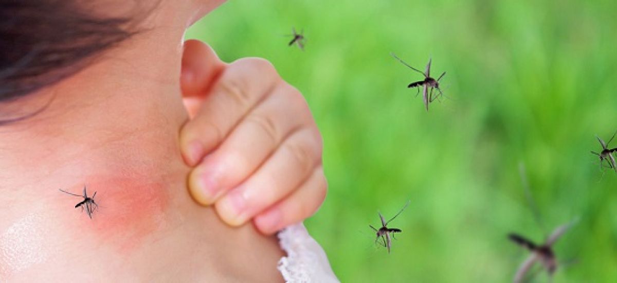 dengue comuna 12