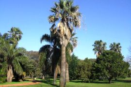 parque carlos mugica