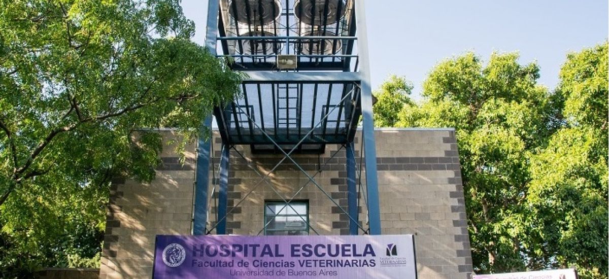 facultad veterinaria