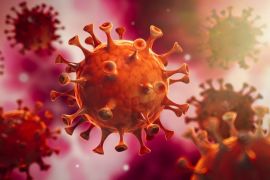 coronavirus