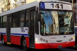 linea 141
