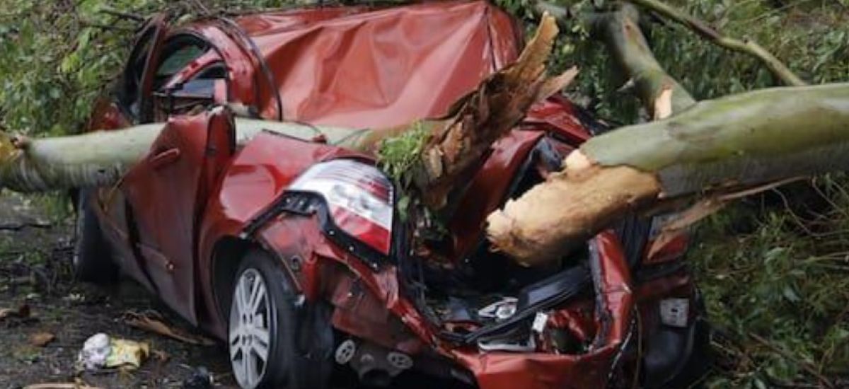rama sobre auto