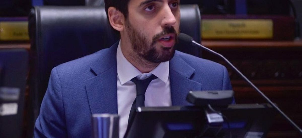diputado catells