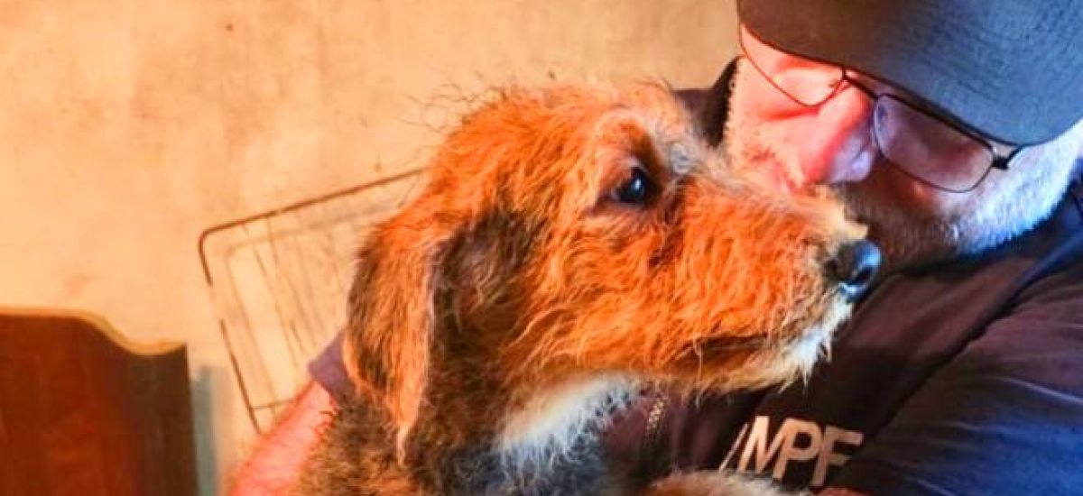 rescate animales saavedra