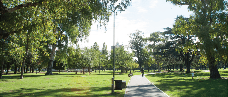 parque Saavedra