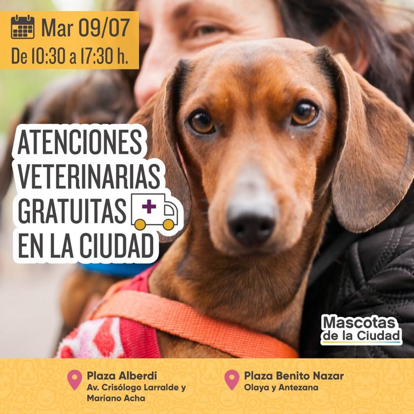 vacinacionplazaalberdi