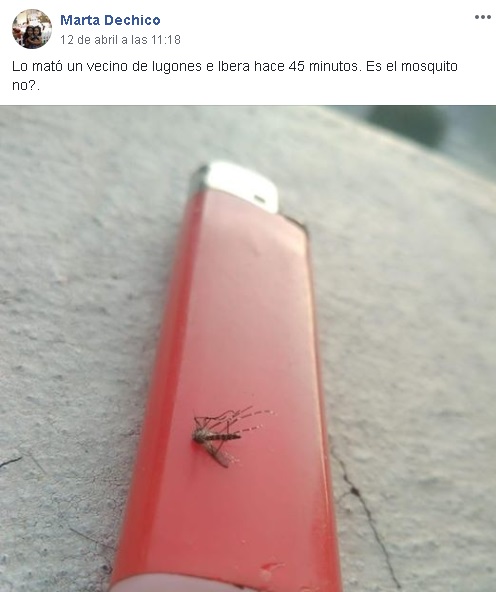 aedescomuna12