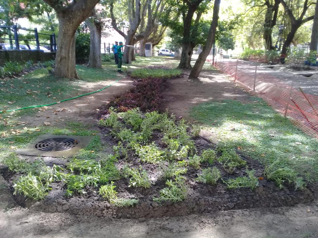 estacioncoghlan2