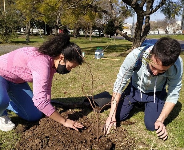 semana del arbol