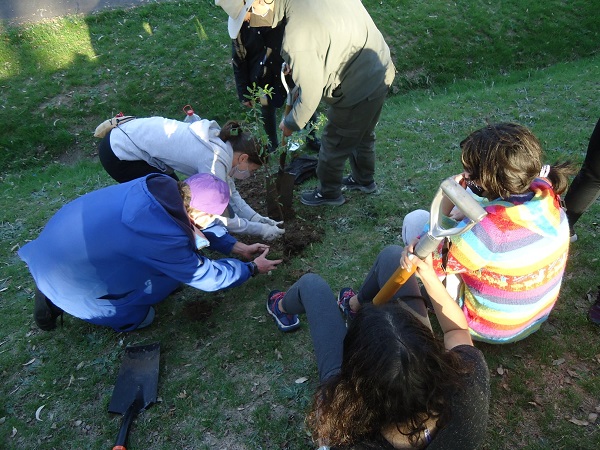 arboretumdos