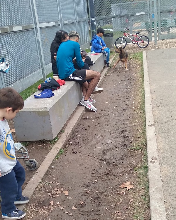 placitavpdos