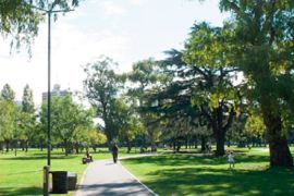 parque saavedra comuna 12