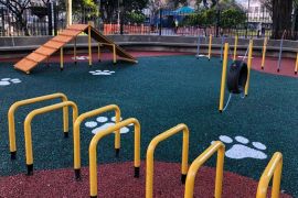 canil plaza echeverria