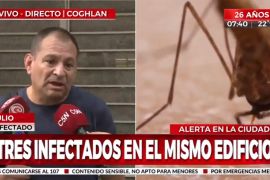 dengue coghlan