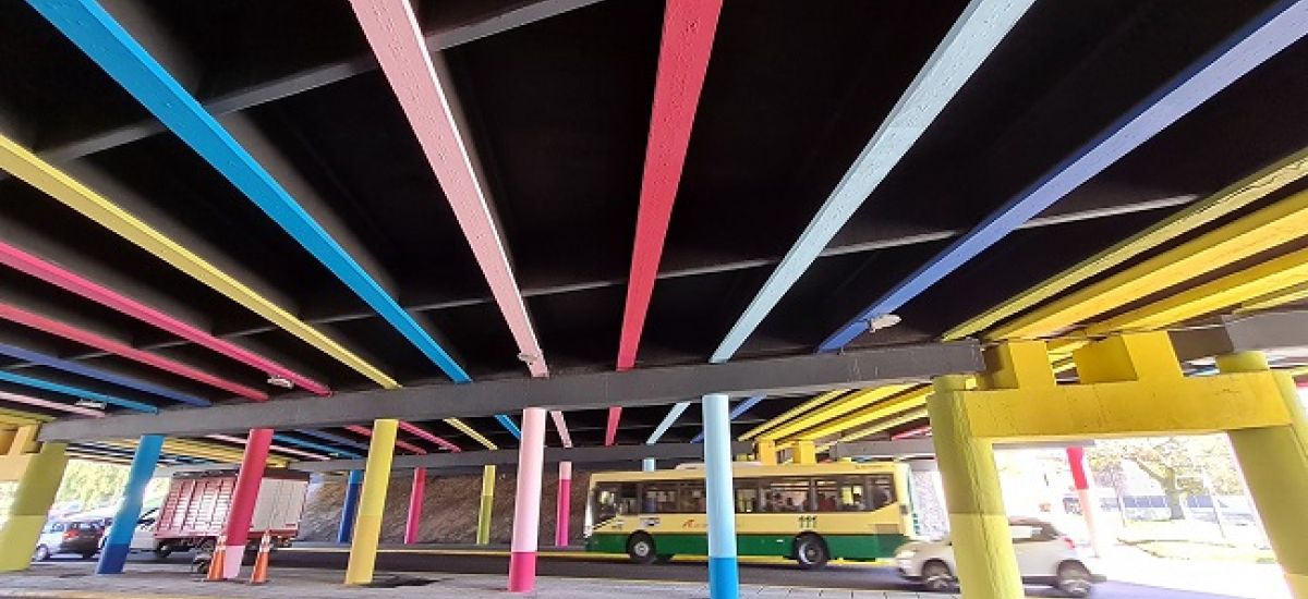 bajo puente constituyentes