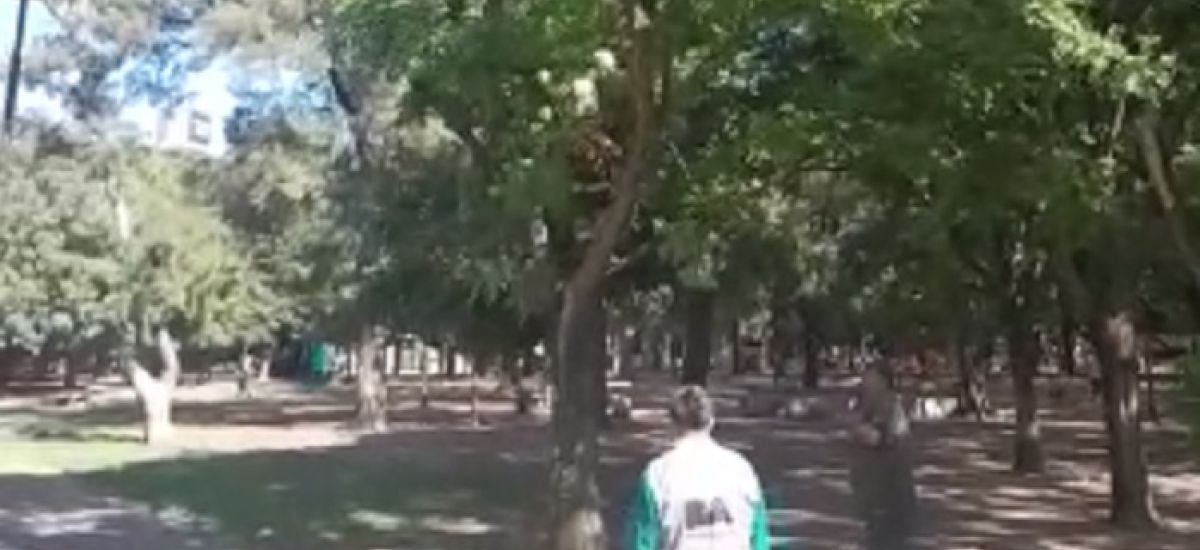 poda parque saavedra
